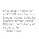 Lighthouse Christian Products ‚Äö√†√∂‚àö√ºguila (Eagle) Bronzelike Finish 5.75 x 7 Hand-Cast Resin Sculpture