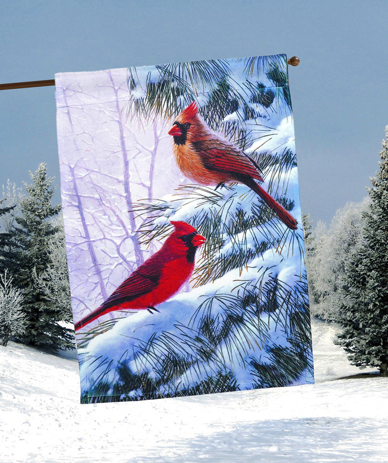 Magnolia Garden Winter Song Birds Cool Cardinal 13 x 18 Small Double Applique Outdoor Holiday House Flag