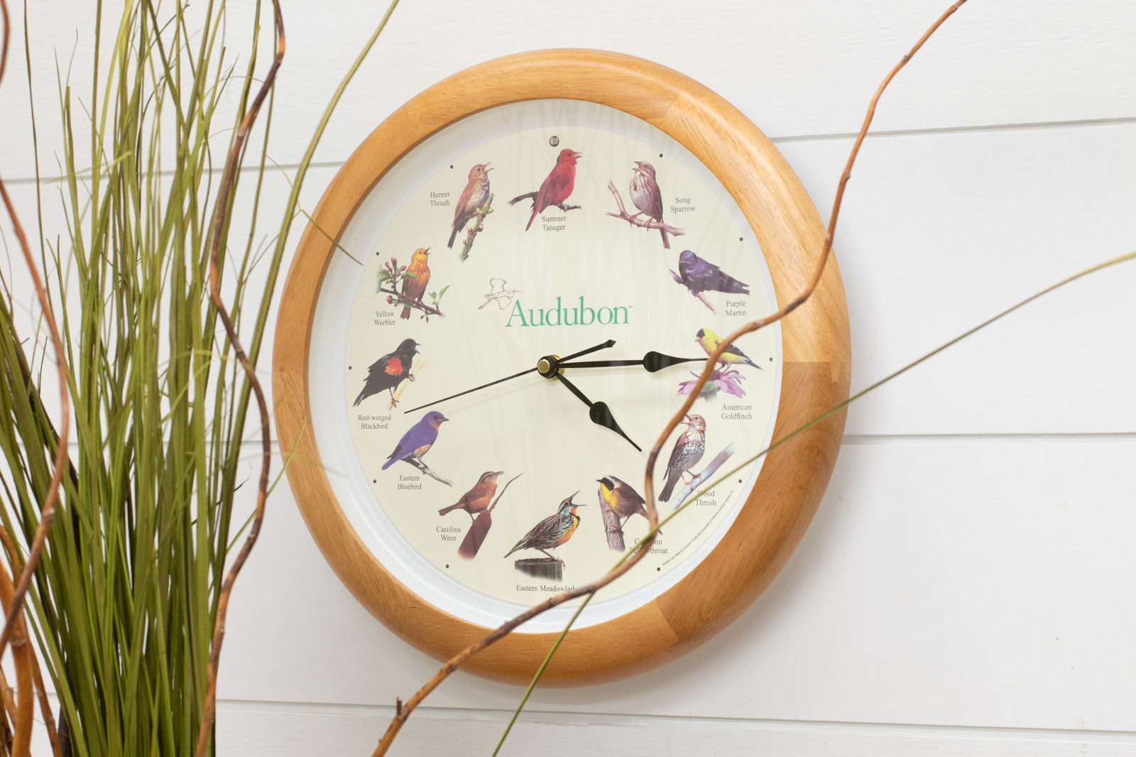 Mark Feldstein Audubon Singing Bird Wall Clock, Oak Wood Frame 13 Inch