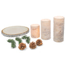 Sugared White Birch Flameless LED Holiday Pillar Candle Set with Wood Base