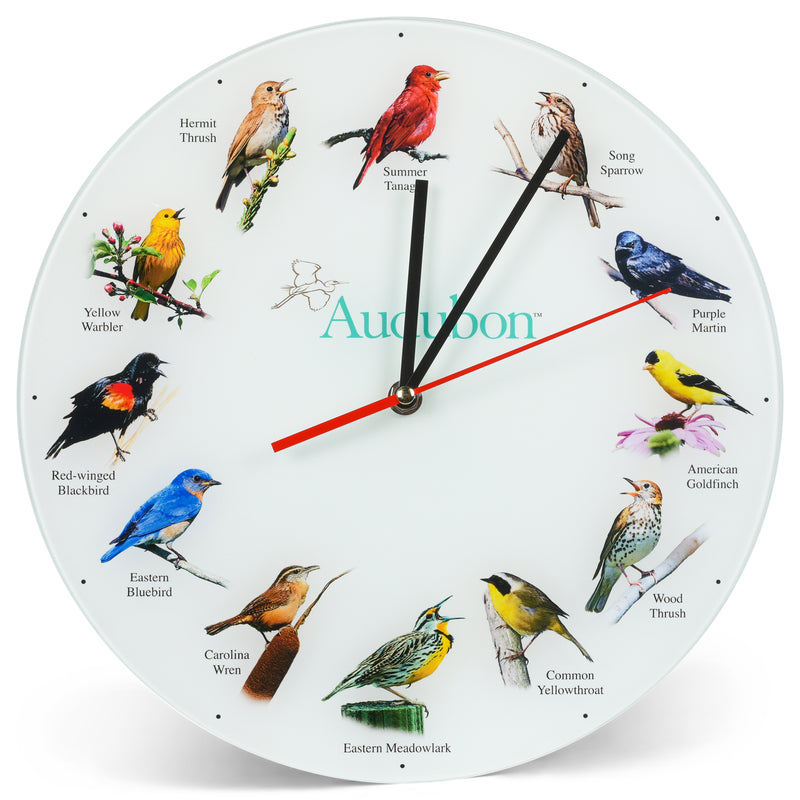 Mark Feldstein & Associates Audubon Songbird Species Non-Singing Classic White 12 inch Smooth Glass Round Wall Clock