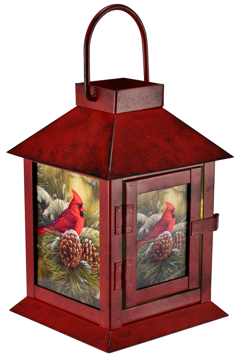 Mark Feldstein & Associates December Dawn Cardinal Rosy Red 6 x 4 Glass and Steel Holiday Decorative Lantern