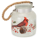 Cardinal LED Winter White 6 x 4 Nordic Glass Holiday Candle Lantern Canister