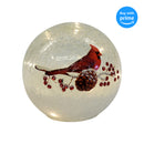 Mark Feldstein & Associates Cardinal on Pinecone Crackle Glass Small 6 Inch LED Light Up Globe Tabletop Decoration