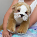 Nat and Jules Laying Large Bulldog Childrens Plush Stuffed Animal Toy