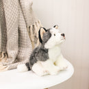 Nat and Jules Alert Small Husky Dog Childrens Plush Stuffed Animal Toy