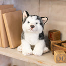 Nat and Jules Alert Small Husky Dog Childrens Plush Stuffed Animal Toy