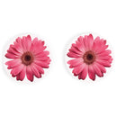 Pink Daisies 2.75 x 2.75 Absorbent Ceramic Car Coasters Pack of 2