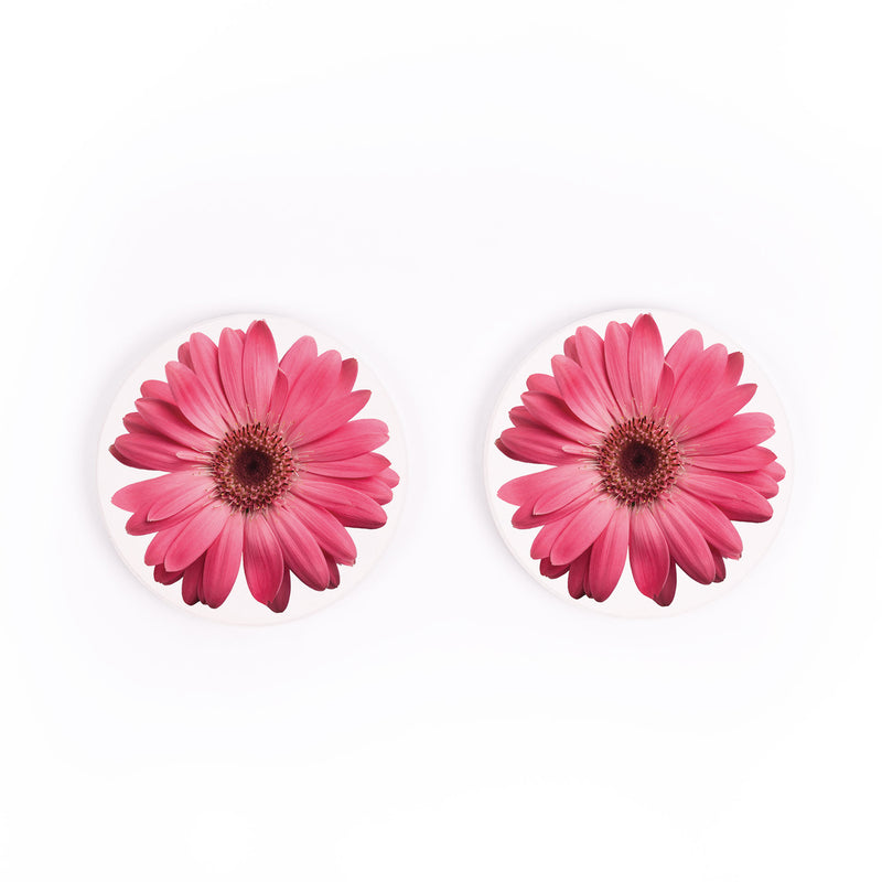 Pink Daisies 2.75 x 2.75 Absorbent Ceramic Car Coasters Pack of 2