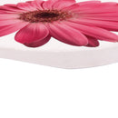 Pink Daisies 2.75 x 2.75 Absorbent Ceramic Car Coasters Pack of 2