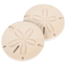 Sand Dollar Seashell Coastal 2.75 x 2.75 Absorbent Ceramic Car Coasters Pack of 2