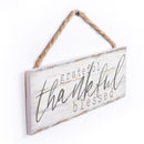 P. Graham Dunn Grateful Thankful Blessed Whitewash 10 x 3.5 Inch Pine Wood Slat Hanging Wall Sign