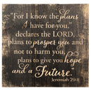 P. Graham Dunn I Know The Plans I Have for You Distressed 10 x 10 Wood Pallet Design Wall Art Sign