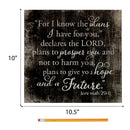 P. Graham Dunn I Know The Plans I Have for You Distressed 10 x 10 Wood Pallet Design Wall Art Sign