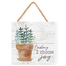 P. Graham Dunn Today I Choose Joy Plant Whitewash 7 x 7 Inch Wood Pallet Wall Hanging Sign