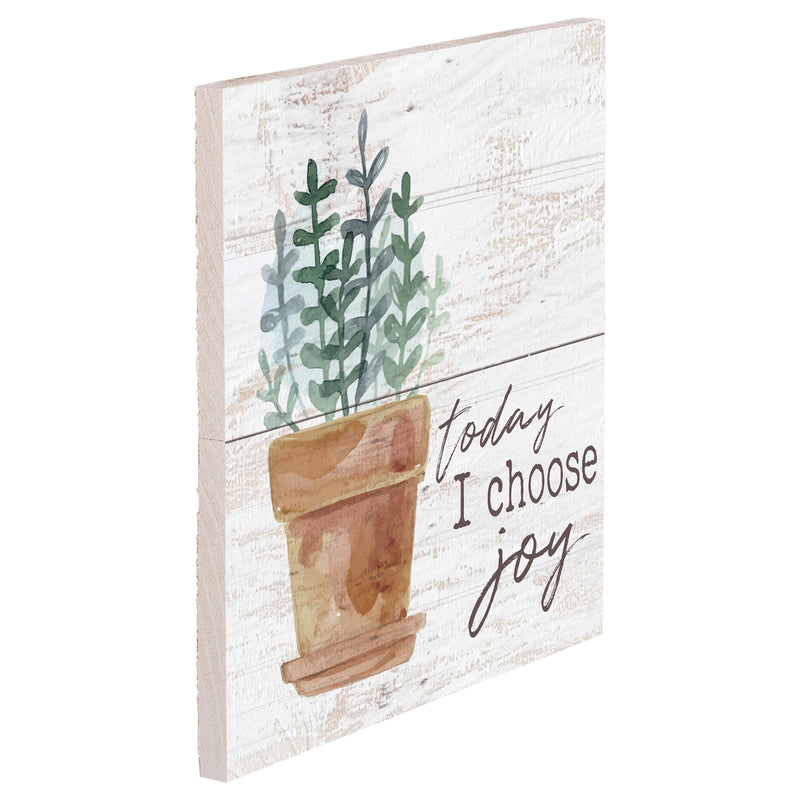 P. Graham Dunn Today I Choose Joy Plant Whitewash 7 x 7 Inch Wood Pallet Wall Hanging Sign