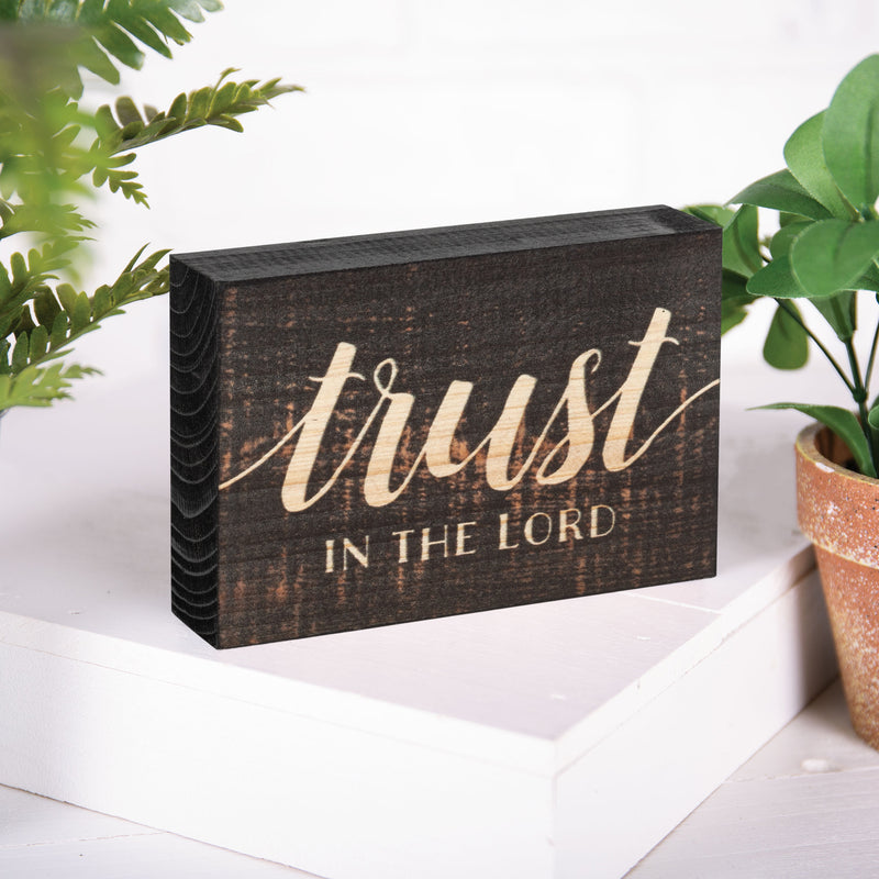 P. Graham Dunn Trust in The Lord Script Design Grey 5 x 3.5 Inch Solid Pine Wood Barnhouse Block Sign