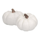 Classic White 6 inch Resin Harvest Decorative Pumpkins Pack of 2