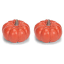 Front view of Natural Orange 6 inch Harvest Decorative Pumpkins Pack of 2