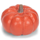 Front view of Natural Orange 6 x 4 Harvest Decorative Pumpkin