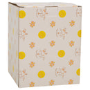 Home decor musical carousel perfect for table top display