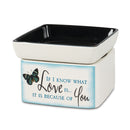 Front view of "If I know what love is… it is because of you" Blue Butterfly Electric 2 in 1 Jar Candle Wax Tart Oil Warmer
