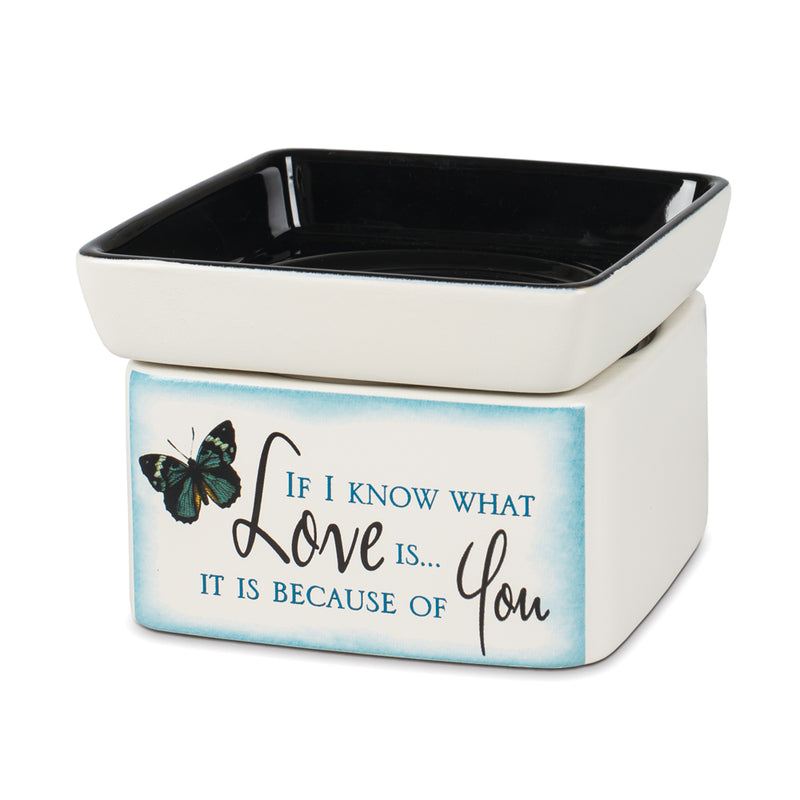 Front view of "If I know what love is… it is because of you" Blue Butterfly Electric 2 in 1 Jar Candle Wax Tart Oil Warmer