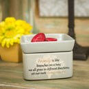 Home decor electrical fragrance lamp for use with wax drop, tarts, and oil scents